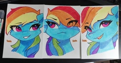 Size: 1280x664 | Tagged: safe, artist:freeedon, part of a set, rainbow dash, pegasus, pony, g4, bust, eye clipping through hair, solo, traditional art