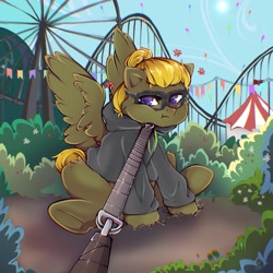 Size: 2048x2048 | Tagged: safe, artist:crybaby, oc, oc only, oc:donnik, pegasus, pony, amusement park, behaving like a dog, clothes, dragging, ferris wheel, glasses, high res, hoodie, leash, pony pet, roller coaster, solo, stubborn
