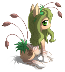 Size: 1000x1104 | Tagged: safe, artist:fidzfox, oc, oc only, original species, plant pony, pony, cattails, female, looking at you, looking back, mare, plant, reeds, simple background, sitting, smiling, solo, transparent background