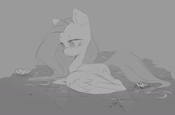 Size: 1588x1049 | Tagged: safe, artist:melodylibris, fluttershy, pegasus, pony, g4, female, grayscale, lidded eyes, lilypad, mare, monochrome, sketch, solo, spread wings, swimming, water, wings