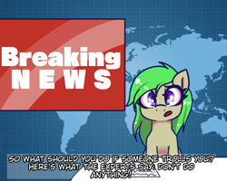 Size: 1000x800 | Tagged: safe, artist:plaguemare, oc, oc only, breaking news, dialogue, drawthread, female, green mane, mare, news, news report, sitting, solo, subtitles, talking, trolling