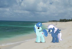Size: 2048x1397 | Tagged: safe, artist:ambassad0r, artist:dashiesparkle, artist:mlplover94, night glider, party favor, pegasus, pony, unicorn, g4, beach, female, hawaii, honolulu, irl, male, mare, photo, ponies in real life, ship:partyglider, shipping, spread wings, stallion, straight, wings
