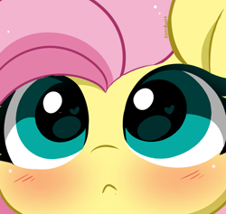 Size: 1147x1088 | Tagged: safe, artist:kittyrosie, fluttershy, pegasus, pony, g4, :<, blushing, close-up, cute, daaaaaaaaaaaw, extreme close-up, female, heart, heart eyes, looking at you, mare, shyabetes, solo, wingding eyes