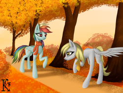 Size: 4000x3000 | Tagged: safe, artist:kirov, derpy hooves, rainbow dash, pegasus, pony, autumn, blue coat, clothes, detailed background, duo, multicolored hair, rainbow hair, red eyes, scarf, spread wings, tree, wings, yellow eyes, yellow hair