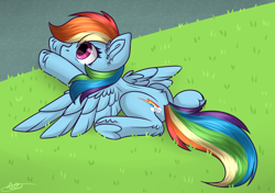 Size: 2790x1964 | Tagged: safe, artist:severe acrophobia, rainbow dash, pegasus, pony, g4, wonderbolts academy, female, funny, grass, lying down, mare, redraw, road, scene interpretation, solo, spread wings, wings