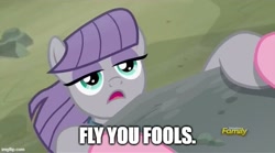 Size: 669x373 | Tagged: safe, edit, edited screencap, screencap, maud pie, pinkie pie, earth pony, pony, g4, rock solid friendship, season 7, caption, cliff, female, fly you fools, gandalf, hanging, image macro, imgflip, long live the party, lord of the rings, mare, meme, offscreen character, pov, solo focus, text