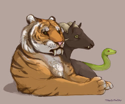 Size: 1024x854 | Tagged: safe, artist:t0byinthesky, chimera sisters, big cat, chimera, goat, saber-toothed cat, saber-toothed tiger, snake, tiger, g4, female, gray background, lying down, multiple heads, on side, realistic, simple background, three heads