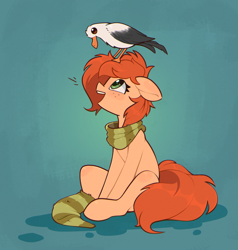 Size: 1304x1372 | Tagged: safe, artist:rexyseven, oc, oc only, oc:rusty gears, bird, earth pony, pony, seagull, clothes, floppy ears, freckles, open mouth, scarf, sitting, sock, socks, solo, striped scarf, striped socks