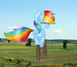 Size: 2801x2441 | Tagged: safe, artist:djdupstep15, rainbow dash, pegasus, pony, g4, cute, dashabetes, eyes closed, female, fence, field, high res, mare, outdoors, photo, scenery, smiling, solo, tree