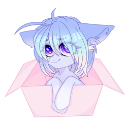 Size: 2000x2000 | Tagged: safe, artist:princessolmi, oc, oc only, earth pony, pony, box, bust, cute, ear fluff, earth pony oc, eye clipping through hair, female, high res, mare, pony in a box, simple background, smiling, solo, white background