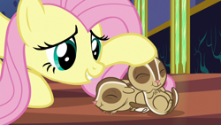 Size: 1280x720 | Tagged: safe, screencap, fluttershy, chipmunk, pegasus, pony, every little thing she does, g4, season 6, ^^, animal, cute, daaaaaaaaaaaw, eyes closed, female, hnnng, mare, petting, shyabetes, too cute