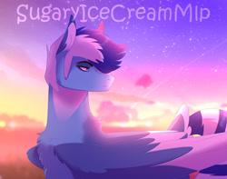 Size: 1280x1007 | Tagged: safe, artist:sugaryicecreammlp, oc, oc:wind storm, pegasus, pony, male, solo, stallion