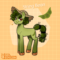 Size: 2000x2000 | Tagged: safe, artist:seasemissary, oc, oc:string bean, earth pony, pony, hat, high res, male, solo, stallion
