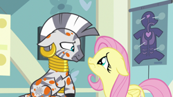 Size: 1280x720 | Tagged: safe, screencap, fluttershy, zecora, pegasus, pony, zebra, a health of information, g4, season 7, anatomy chart, chart, context is for the weak, cute, duo, duo female, female, floppy ears, frown, looking at each other, looking at someone, sad, sadorable, swamp fever, terrified