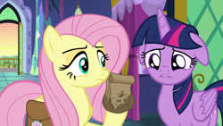 Size: 1280x720 | Tagged: safe, screencap, twilight sparkle, alicorn, pegasus, pony, a health of information, g4, season 7, bag, cute, dilated pupils, disappointed, duo, duo female, female, floppy ears, folded wings, mare, no sweet potato muffins, sad, saddle bag, sadorable, twiabetes, twilight sparkle (alicorn), twilight's castle, wings