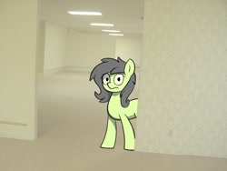 Size: 640x480 | Tagged: safe, artist:pizzahutjapan, oc, oc:filly anon, earth pony, pony, female, filly, foal, looking at you, solo, the backrooms