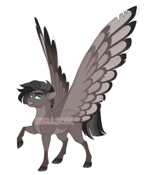Size: 3500x4200 | Tagged: safe, artist:gigason, oc, oc only, oc:huff puff, pegasus, pony, high res, magical gay spawn, male, obtrusive watermark, offspring, parent:doctor caballeron, parent:sky stinger, simple background, solo, stallion, transparent background, watermark