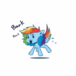 Size: 3543x3543 | Tagged: safe, artist:buvanybu, rainbow dash, pegasus, pony, g4, angry, barking, behaving like a dog, chibi, female, high res, mare, open mouth, rainbow dog, simple background, solo, spread wings, white background, wings