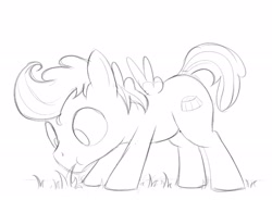 Size: 2096x1539 | Tagged: safe, artist:dtcx97, pound cake, pegasus, pony, g4, grass, grazing, herbivore, horses doing horse things, monochrome, solo