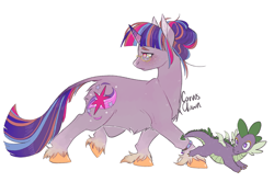 Size: 2651x1764 | Tagged: safe, artist:corvusclown, spike, twilight sparkle, classical unicorn, dragon, pony, unicorn, alternate design, alternate hairstyle, cloven hooves, duo, female, fluffy, freckles, glasses, leonine tail, male, mare, signature, simple background, unicorn twilight, unshorn fetlocks, white background, winged spike, wings