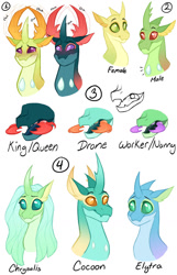 Size: 1024x1593 | Tagged: safe, artist:purplegrim40, pharynx, queen chrysalis, thorax, changedling, changeling, g4, bust, king thorax, next generation, prince pharynx, simple background, smiling, story included, white background