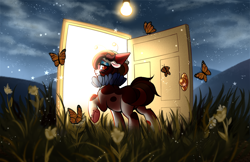 Size: 2236x1452 | Tagged: safe, artist:frowoppy, oc, oc:illui, butterfly, earth pony, pony, door, female, lamp, mare, solo