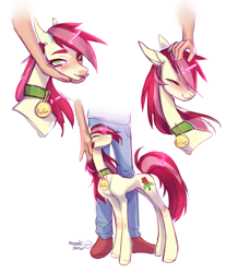 Size: 2790x3200 | Tagged: safe, artist:satan, roseluck, earth pony, human, pony, g4, behaving like a cat, collar, commission, commissioner:doom9454, concave belly, cute, eyes closed, height difference, high res, human on pony petting, long legs, pet tag, petting, pony pet, rosabetes, rosepet, skinny, slender, thin