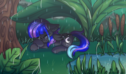 Size: 2500x1471 | Tagged: safe, artist:stesha, oc, oc only, oc:rain fall, pegasus, pony, commission, eyes closed, female, folded wings, freckles, grass, lying down, mare, multicolored mane, multicolored tail, pegasus oc, pond, rain, reeds, sleeping, solo, tail, tree, water, wings, ych result