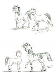 Size: 1100x1436 | Tagged: safe, artist:baron engel, apple bloom, zecora, oc, oc:stone mane (baron engel), earth pony, pony, zebra, g4, colored, female, filly, foal, mare, monochrome, nudity, pencil drawing, sheath, story included, traditional art