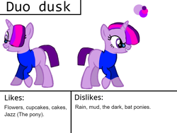 Size: 960x720 | Tagged: safe, editor:wonderwolf51, oc, oc only, oc:duo dusk, pony, unicorn, 1000 hours in ms paint, clothes, female, glasses, not twilight sparkle, reference sheet, shirt, simple background, solo, sweater, white background
