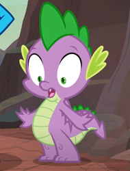 Size: 453x597 | Tagged: safe, screencap, princess ember, spike, dragon, g4, sweet and smoky, cropped, female, offscreen character, offscreen female, open mouth, pinpoint eyes, solo