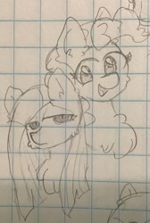 Size: 731x1085 | Tagged: safe, artist:metaruscarlet, pinkie pie, earth pony, pony, g4, duo, graph paper, open mouth, pinkamena diane pie, sketch, smiling, traditional art