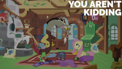 Size: 1280x720 | Tagged: safe, edit, edited screencap, editor:quoterific, screencap, discord, fluttershy, draconequus, pegasus, pony, dungeons and discords, g4, season 6, duo, duo male and female, female, fluttershy's cottage, hand on hip, male, mare, open mouth, smiling, text