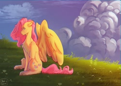 Size: 4093x2894 | Tagged: safe, artist:jaynsparkle, fluttershy, pegasus, pony, g4, chest fluff, cloud, cloudy, female, grass, mare, redraw, sitting, solo