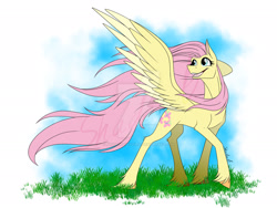 Size: 1920x1440 | Tagged: safe, artist:shadowsofazura, fluttershy, pegasus, pony, g4, deviantart watermark, female, grin, mare, obtrusive watermark, smiling, solo, spread wings, turned head, unshorn fetlocks, watermark, windswept mane, wings