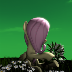 Size: 1079x1078 | Tagged: safe, artist:charismatic pony, fluttershy, pegasus, pony, g4, 3d, cloud, female, flower, grass, green sky, hidden face, holding flowers, revamped ponies, sitting, solo, source filmmaker