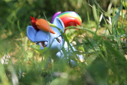 Size: 5184x3456 | Tagged: safe, artist:dustysculptures, rainbow dash, pegasus, pony, g4, craft, crouching, grass, narrowed eyes, sculpture, solo