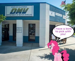 Size: 1125x918 | Tagged: safe, artist:bloommoonbeam, edit, pinkie pie, earth pony, pony, g4, dialogue box, dmv, irl, photo