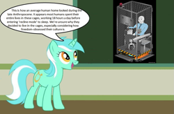 Size: 1023x677 | Tagged: safe, lyra heartstrings, human, unicorn, g4, cage, chalkboard, female, human studies101 with lyra, mare, meme, speech bubble, wojak