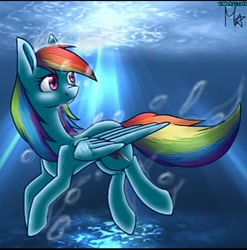 Size: 720x728 | Tagged: safe, artist:felizcumpley, rainbow dash, pegasus, pony, g4, bubble, crepuscular rays, digital art, female, folded wings, mare, multicolored hair, ocean, pink eyes, rainbow hair, signature, solo, sunlight, swimming, underwater, water, wings