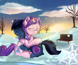 Size: 1280x1067 | Tagged: safe, artist:appleneedle, oc, oc only, pegasus, pony, bench, commission, couple, duo, eyes closed, female, hug, love, male, nature, oc x oc, romance, romantic, shipping, snow, snowfall, straight, winter