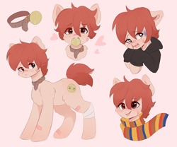 Size: 960x800 | Tagged: artist needed, safe, oc, pony, bandage, bandaid, clothes, collar, hoodie, male, reference sheet, scarf