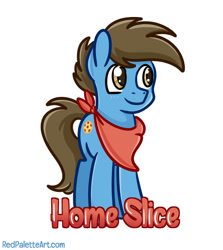Size: 845x946 | Tagged: safe, artist:redpalette, oc, oc only, oc:home slice, earth pony, pony, badge, bandana, cute, earth pony oc, male, simple background, smiling, solo, stallion, white background