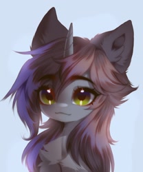 Size: 1752x2108 | Tagged: safe, artist:shenki, oc, oc only, oc:kate, pony, unicorn, bust, chest fluff, ear fluff, eyebrows, eyebrows visible through hair, horn, looking at you, portrait, simple background, solo, unicorn oc