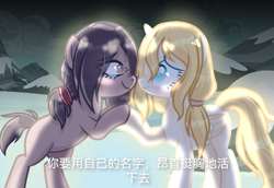 Size: 1451x999 | Tagged: safe, artist:anno酱w, alicorn, earth pony, pony, attack on titan, base used, boop, couple, crying, freckles, historia reiss, holding hooves, mountain, noseboop, ponified, screenshot redraw, snow, tears of joy, ymir