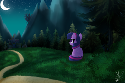 Size: 3000x2000 | Tagged: safe, artist:daftramms, twilight sparkle, alicorn, pony, g4, canterlot, crescent moon, cute, forest background, high res, moon, night, ponyville, scenery, solo, twilight sparkle (alicorn), twilight's castle