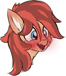 Size: 370x427 | Tagged: safe, artist:litrojia, oc, oc only, oc:cottonwood kindle, earth pony, pony, blushing, blushing profusely, bust, cheek fluff, chest fluff, colored sketch, ear blush, ear fluff, grin, male, nervous, nervous smile, open mouth, open smile, portrait, simple background, smiling, solo, stallion, transparent background
