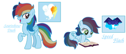 Size: 1366x585 | Tagged: safe, artist:mialositas2017, oc, oc only, oc:soarinbow dash, oc:speed flash, pegasus, pony, book, cutie mark, female, lying down, mare, multicolored hair, offspring, parent:rainbow dash, parent:soarin', parents:soarindash, prone, rainbow hair, raised hoof, reading, reference sheet, siblings, simple background, sisters, smiling, text, transparent background, twins, wings