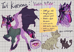 Size: 3236x2285 | Tagged: safe, artist:yuyusunshine, twilight sparkle, alicorn, dog, pony, g4, chest fluff, clothes, female, graph paper, high res, kinsona, mare, reference sheet, twilight sparkle (alicorn)