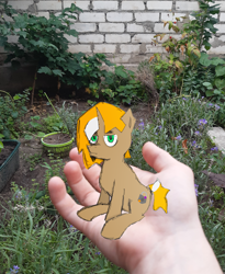 Size: 2898x3534 | Tagged: safe, artist:kvas!, oc, oc only, oc:charm_kvas, pony, unicorn, 1000 years in photoshop, garden, green eyes, hand, high res, orange mane, photo, photoshop, smol, solo